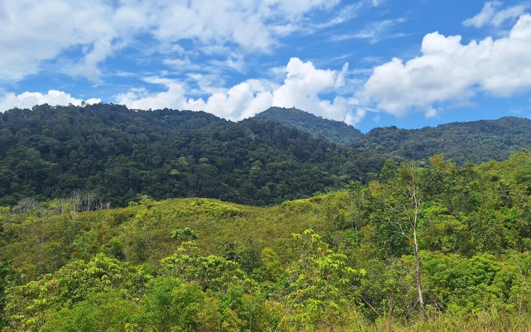 Menjaga Savana, Merawat Rumah Sang Penjaga